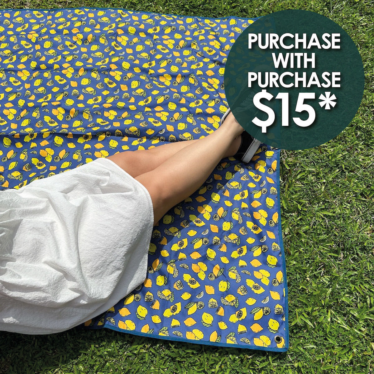 Picnic Mat with pegs – Lemons