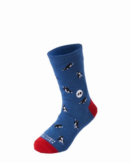 TAP Socks (Kids) - Penguin 