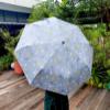 Foldable Lightweight Umbrella - Dino Grey